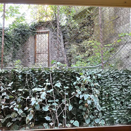 Al Carugio モンテロッソ・アル・マーレ